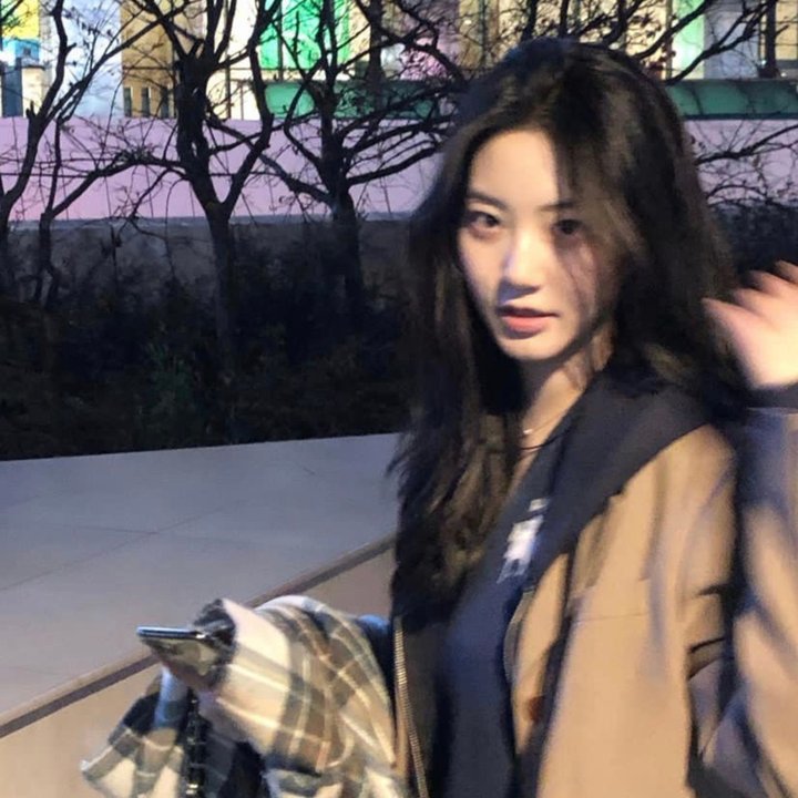 风流夜合花